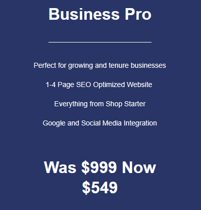 Business Pro 4 Page Website Design & Development