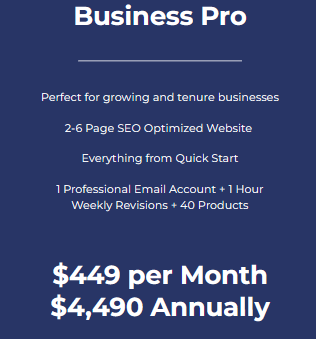 Shop Business Pro Ecommerce Website for 12 Months