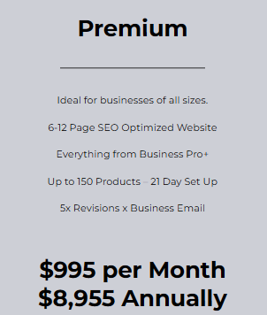 Shop Premium Ecommerce Website for 12 Months