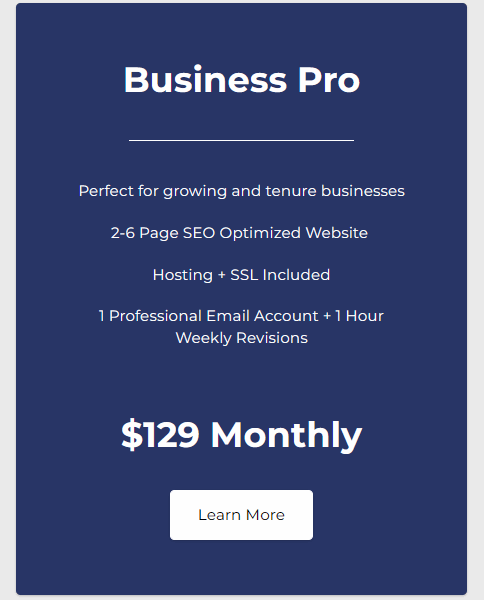 Business Pro 4 Page Website - Charged Monthly